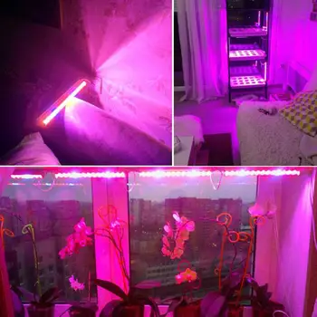 Greenhouse Lamp AC_85-265V 5Pcs Lighting Accessory Garden Hydroponic Convenient LED Strip Bar Plants Growth Lights Purple Light
Greenhouse Lamp AC_85-265V 5Pcs Lighting Accessory Garden Hydroponic Convenient LED Strip Bar Plants Growth Lights Purple Light