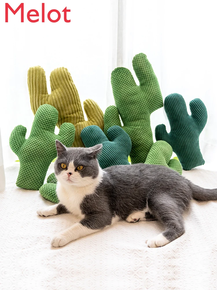 

Cactus Cat Teaser Toy Toy Cat Cat Supplies Self-Hi Catnip Toy Cat Cat Toy Relieving Stuffy Bite-Resistant Molar