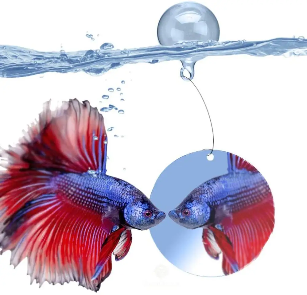 Floating Ball to Hang from, 4-6 Clear line Included, Entertains and Encourages Must Needed Exercise in Betta Fish
Floating Ball to Hang from, 4-6 Clear line Included, Entertains and Encourages Must Needed Exercise in Betta Fish