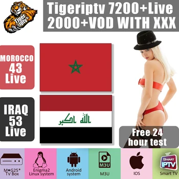 World IPTV Morocco Tiger iptv 7200+ tv program 2000+ VOD Adult IPTV android tv box IRAQ android 8.1 box tv M3U IPTV Subscription
World IPTV Morocco Tiger iptv 7200+ tv program 2000+ VOD Adult IPTV android tv box IRAQ android 8.1 box tv M3U IPTV Subscription