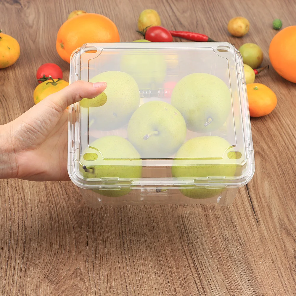400 шт. одноразовые пластиковые коробки для упаковки ягод вишни 500 г|Одноразовые