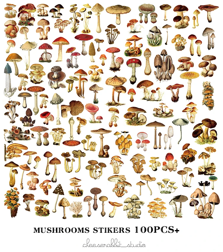 100 Mushroom chart/Vellum Paper Stickers for Scrapbooking Happy Planner/Card Making/Journaling Project
100 Mushroom chart/Vellum Paper Stickers for Scrapbooking Happy Planner/Card Making/Journaling Project