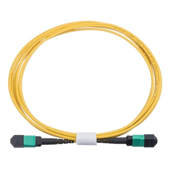 24core MPO-MPO female Type B fiber optic patchcords OS2 round cable yellow color 2M 3M 5M jumper
24core MPO-MPO female Type B fiber optic patchcords OS2 round cable yellow color 2M 3M 5M jumper
