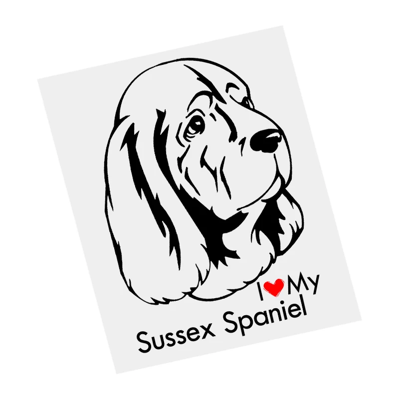 S61671# Sussex Spaniel Dog Black Transparent Car Sticker Vinyl Decal Waterproof Decors for Motorcycle Bumper Laptop
S61671# Sussex Spaniel Dog Black Transparent Car Sticker Vinyl Decal Waterproof Decors for Motorcycle Bumper Laptop