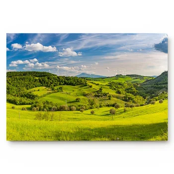 Woods Forest Grassland Green Plants Sky Blue Scenery Beautiful Wide Clouds Fres Non Slip Backing Accessory Sets Floor Carpets
Woods Forest Grassland Green Plants Sky Blue Scenery Beautiful Wide Clouds Fres Non Slip Backing Accessory Sets Floor Carpets