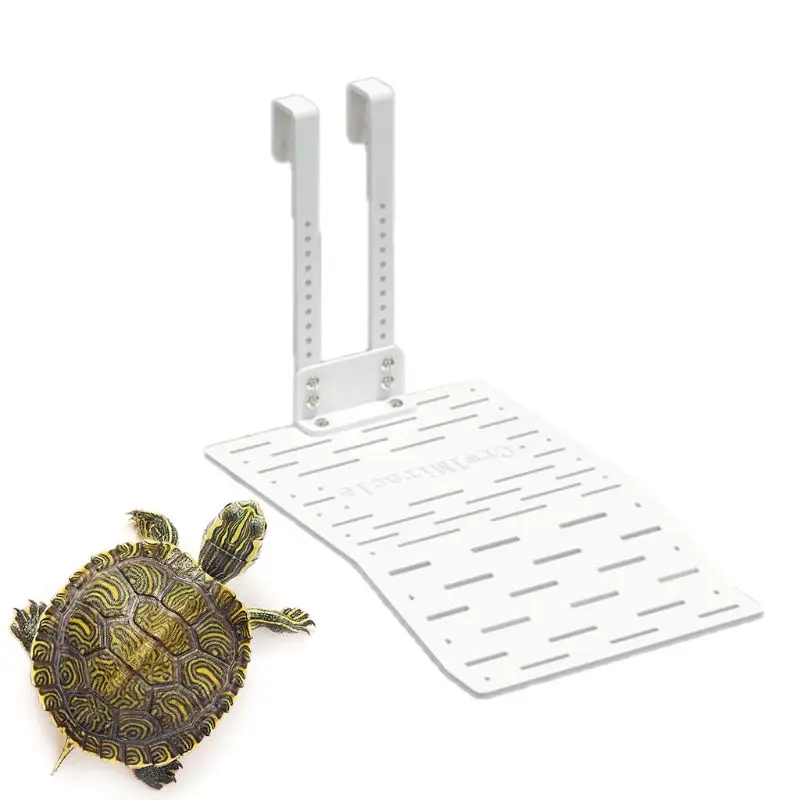 White Turtle Basking Floating Platform Turtles Climbing Dock Crawling Rest Island
White Turtle Basking Floating Platform Turtles Climbing Dock Crawling Rest Island