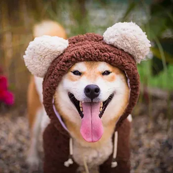 Aapet 1pc Cotten Wool Dog Hoodie Cute Modeling Clothes For Dog Puppy Winter Warm Jumpsuit Jacket Sweatshirt For Dog Pet Supplies
Aapet 1pc Cotten Wool Dog Hoodie Cute Modeling Clothes For Dog Puppy Winter Warm Jumpsuit Jacket Sweatshirt For Dog Pet Supplies
