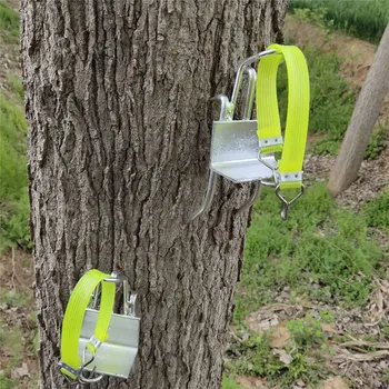 Stainless Steel Five Claws Tree Climbing Tools Pole Climbing Spikes 100kg load capacity for Hunting Observation Picking Fruit
Stainless Steel Five Claws Tree Climbing Tools Pole Climbing Spikes 100kg load capacity for Hunting Observation Picking Fruit