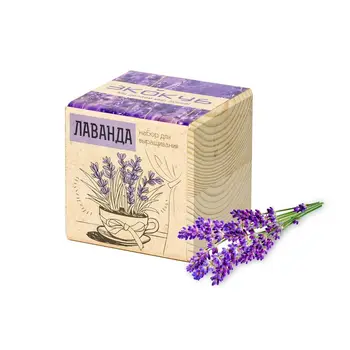 Set for growing "EcoCube", Lavender 
Set for growing "EcoCube", Lavender