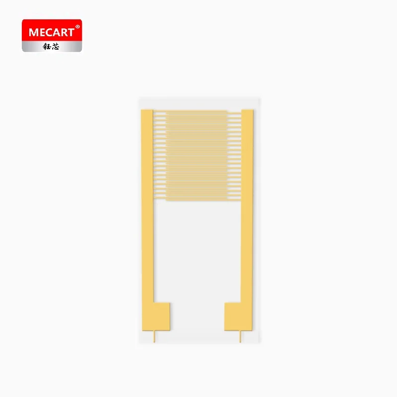 Transparent PI Flexible Electrode Myoelectric Sensor Polymer Flexible Film
Transparent PI Flexible Electrode Myoelectric Sensor Polymer Flexible Film