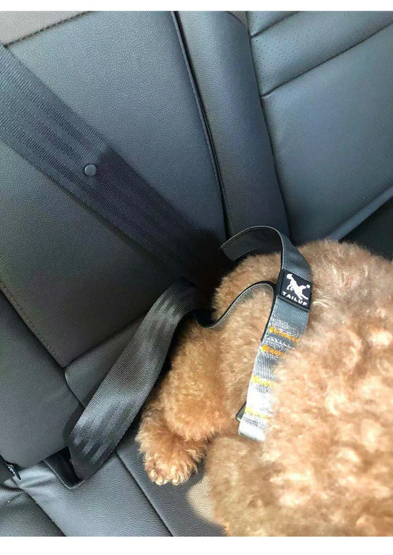 Walking Short Leash Durable Pet - peticadeals