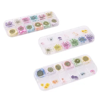 Mix Dried Flowers Nail Decorations Jewelry Natural Floral Leaf Stickers 3D Nail Art Designs Polish Manicure Accessories 
Mix Dried Flowers Nail Decorations Jewelry Natural Floral Leaf Stickers 3D Nail Art Designs Polish Manicure Accessories