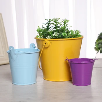 2PCS/Lot Mini candy-colored small iron bucket flower pot Creative succulent plant pot Tinplate Tin Bucket gardening flower tub
2PCS/Lot Mini candy-colored small iron bucket flower pot Creative succulent plant pot Tinplate Tin Bucket gardening flower tub