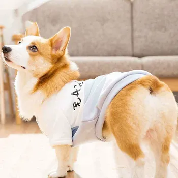 Printed Two-Leg Dog Clothes for Small Dogs Chihuahua French Bulldog Sweatshirts Puppy Shirts Dogs Pets Clothing
Printed Two-Leg Dog Clothes for Small Dogs Chihuahua French Bulldog Sweatshirts Puppy Shirts Dogs Pets Clothing