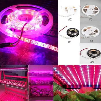 Grow Light High Brightness LED Light Strip LED Strip Indoor Waterproof Eco-Friendly Light Strip Energy Saving
Grow Light High Brightness LED Light Strip LED Strip Indoor Waterproof Eco-Friendly Light Strip Energy Saving