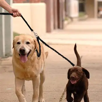 Double Leash Coupler Swivel No Tangle Nylon Reflective Pet Training Leashes Soft Breathable Chihuahua Walking Leads Breakaway
Double Leash Coupler Swivel No Tangle Nylon Reflective Pet Training Leashes Soft Breathable Chihuahua Walking Leads Breakaway
