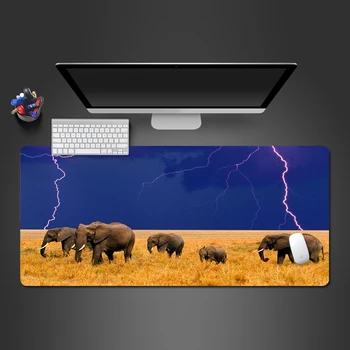 The African Elephant Mouse Pad For High Quality Game Player's Game Pad Computer Office Keyboard Ultra-thin Lock Side Table Mats
The African Elephant Mouse Pad For High Quality Game Player's Game Pad Computer Office Keyboard Ultra-thin Lock Side Table Mats