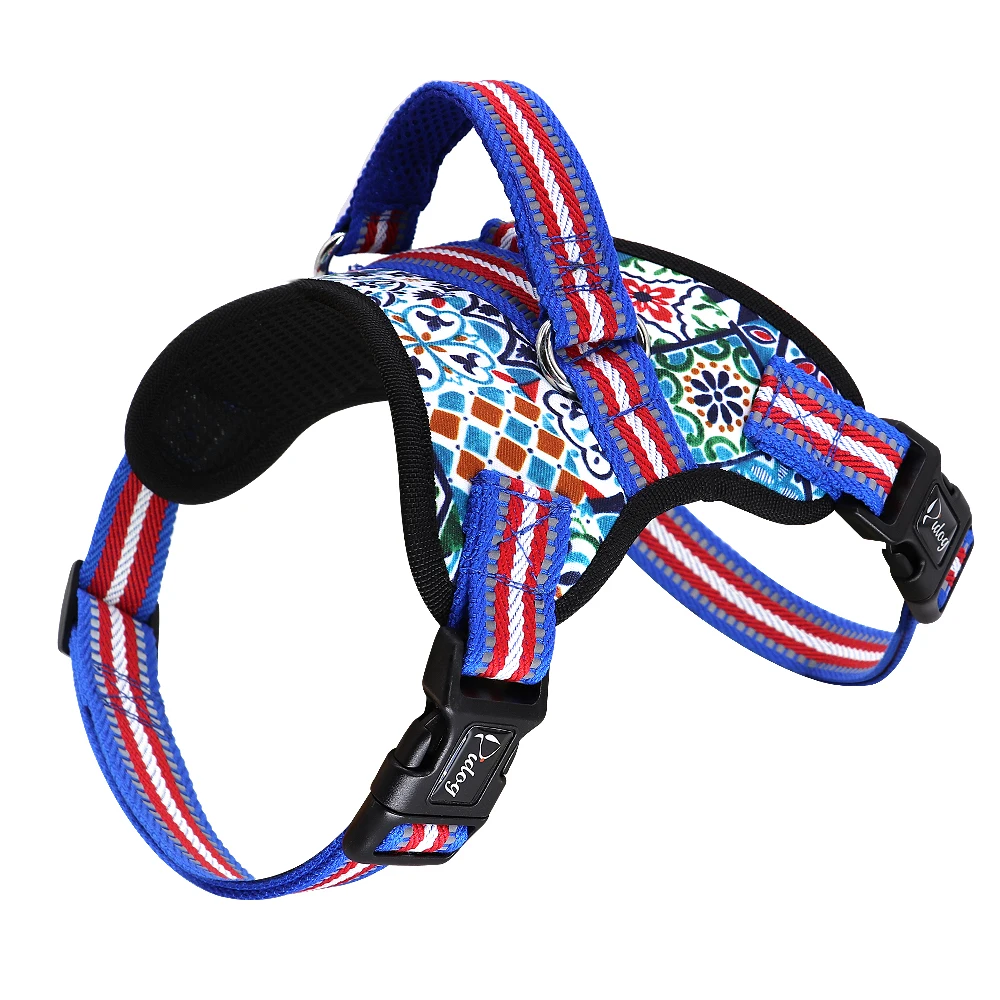 boston terrier harness