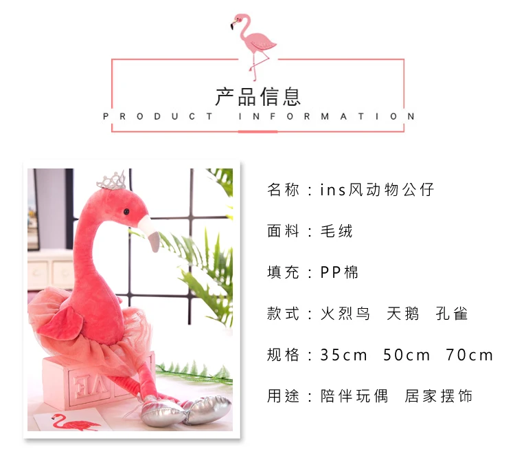 火烈鸟 (3)
