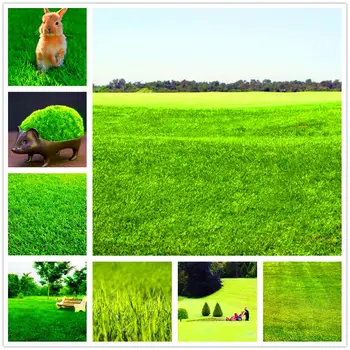 Plant Flower Bath Salts Green grass Essence 500Pcs XZZ-292
Plant Flower Bath Salts Green grass Essence 500Pcs XZZ-292