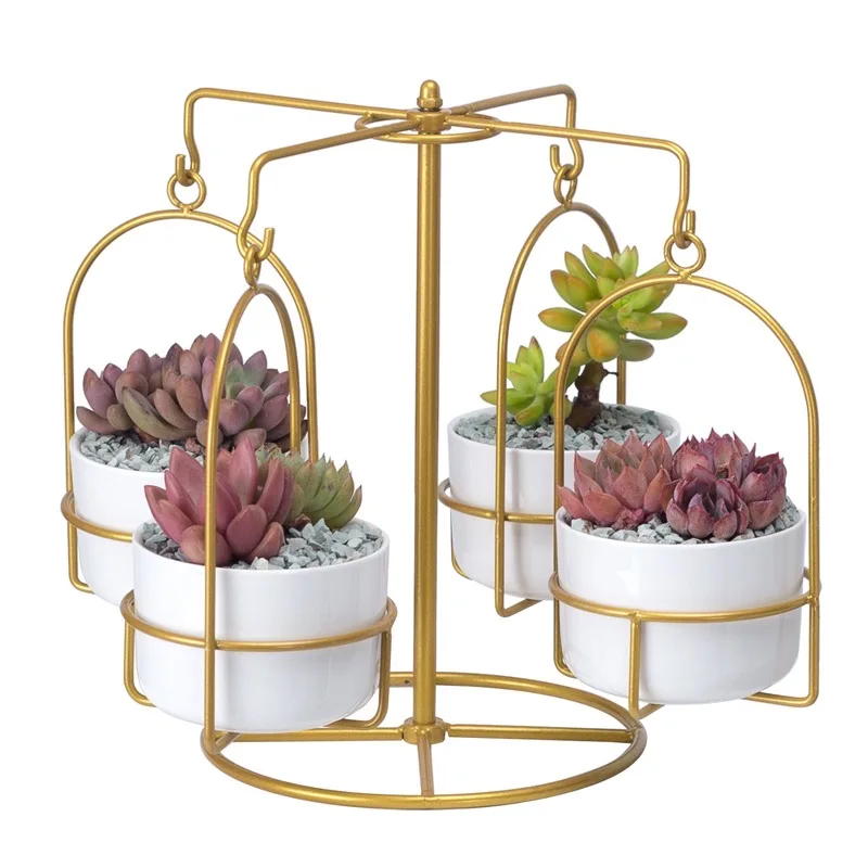 Nordic Simple Creative Gold Hand Wrought Iron Ceramic Meaty Pot Combination Interior Tabletop Basin Decoration Design Sense
Nordic Simple Creative Gold Hand Wrought Iron Ceramic Meaty Pot Combination Interior Tabletop Basin Decoration Design Sense