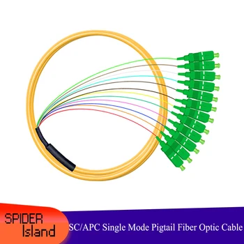 12-Core Bundle Pigtails SC/ APC Single-Mode Pigtail Fiber Optic Cable Fiber Cable Connector
12-Core Bundle Pigtails SC/ APC Single-Mode Pigtail Fiber Optic Cable Fiber Cable Connector