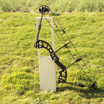 Hunting Set Adjustable Draw Weight Bow and Arrow Compound Bow Archery Target Compound Bows
Hunting Set Adjustable Draw Weight Bow and Arrow Compound Bow Archery Target Compound Bows