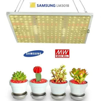 Grow Light Quantum Board LED 240W Samsung LM301B LM301H LED Phyto Lamp Phytolamp for Plants Board Quantum Indoor Home and Garden
Grow Light Quantum Board LED 240W Samsung LM301B LM301H LED Phyto Lamp Phytolamp for Plants Board Quantum Indoor Home and Garden