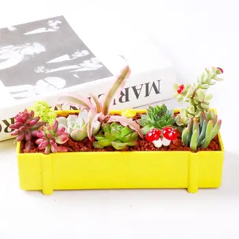 Rectangular Creative Flower Pot Succulent Plant Combination Set Potted Environmental Protection Non-fading Flower Pot
Rectangular Creative Flower Pot Succulent Plant Combination Set Potted Environmental Protection Non-fading Flower Pot