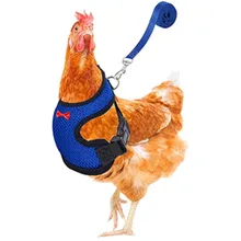 Pet Leash Upgraded Dual Adjustable Chicken Carrier and Leash Set for Chickens Ducks Geese Cats Dogs and Other Small Pets
Pet Leash Upgraded Dual Adjustable Chicken Carrier and Leash Set for Chickens Ducks Geese Cats Dogs and Other Small Pets