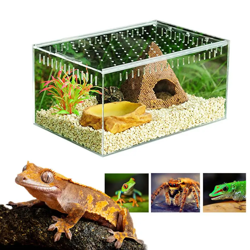 Reptile Breeding Box Acrylic Transparent Sliding Cover Reptile Tank Insect Spiders Tortoise Lizard Feeding Box Terrarium
Reptile Breeding Box Acrylic Transparent Sliding Cover Reptile Tank Insect Spiders Tortoise Lizard Feeding Box Terrarium