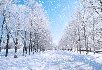 7x5FT Beautiful Winter Wonderland Tree Path Snow Woodland Blue Sky Custom Photo Studio Backdrop Background Vinyl 220cm X 150cm
7x5FT Beautiful Winter Wonderland Tree Path Snow Woodland Blue Sky Custom Photo Studio Backdrop Background Vinyl 220cm X 150cm