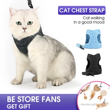 Pet Chest Harness Leash Vest Style Pet Leash For Small Cat Leash Adjustable Walk Out Cat Chest Strap Pet Products Cats Supplies
Pet Chest Harness Leash Vest Style Pet Leash For Small Cat Leash Adjustable Walk Out Cat Chest Strap Pet Products Cats Supplies