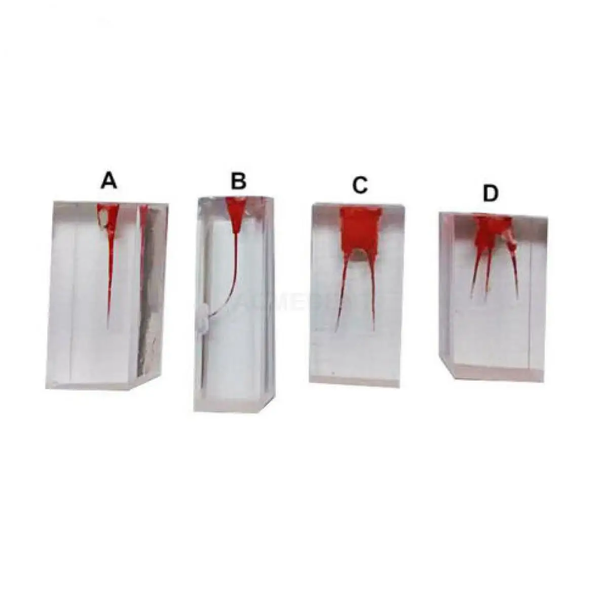 4Pcs Dental Endodontic Tooth Model Root Canal Block Teeth Orthodontics Tooth For Students Practice Model Training Teeth For Equi
4Pcs Dental Endodontic Tooth Model Root Canal Block Teeth Orthodontics Tooth For Students Practice Model Training Teeth For Equi