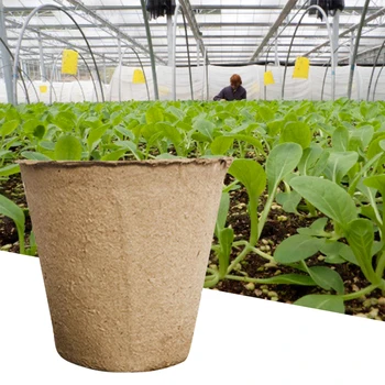 100pcs 8cm Round Seedling Cups Biodegradable Eco-friendly Disposable Seed Nurse Pots Seed Starter Kit
100pcs 8cm Round Seedling Cups Biodegradable Eco-friendly Disposable Seed Nurse Pots Seed Starter Kit