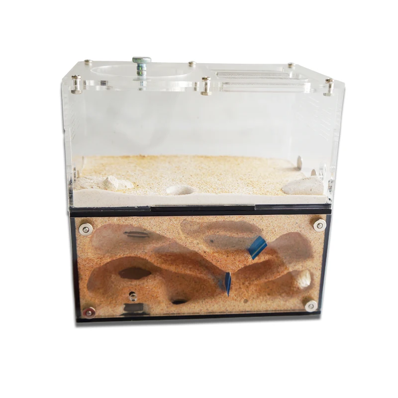Acrylic Ant Farm Spliceable Ant Nest with Intelligent Temperature Control Concrete Ant House Anthill Pet Workshop 15*10*13.5cm
Acrylic Ant Farm Spliceable Ant Nest with Intelligent Temperature Control Concrete Ant House Anthill Pet Workshop 15*10*13.5cm