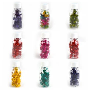 Flower Invitation_50 pcs lantern ball dried flower DIY Epoxy Materials Filler Dried Flowers Stone Jewelry Making Resin Crafts
Flower Invitation_50 pcs lantern ball dried flower DIY Epoxy Materials Filler Dried Flowers Stone Jewelry Making Resin Crafts