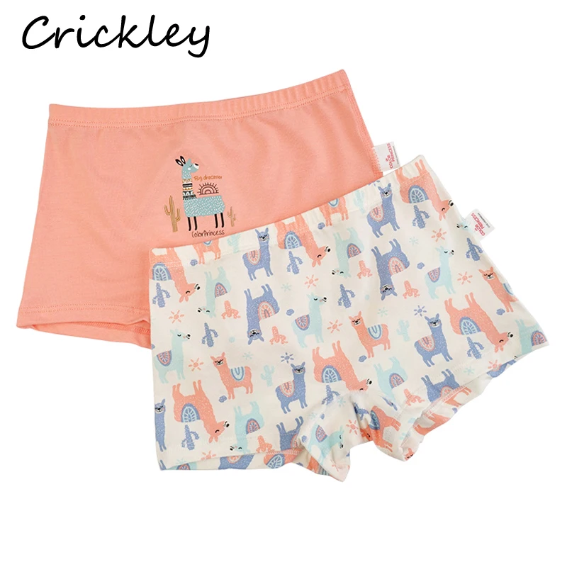 2/Pcs Lot Girls Underpants Cute Cartoon Alpaca Pattern Children High Quality Girl Boxer Briefs Bamboo Fiber Breathable Knickers
2/Pcs Lot Girls Underpants Cute Cartoon Alpaca Pattern Children High Quality Girl Boxer Briefs Bamboo Fiber Breathable Knickers