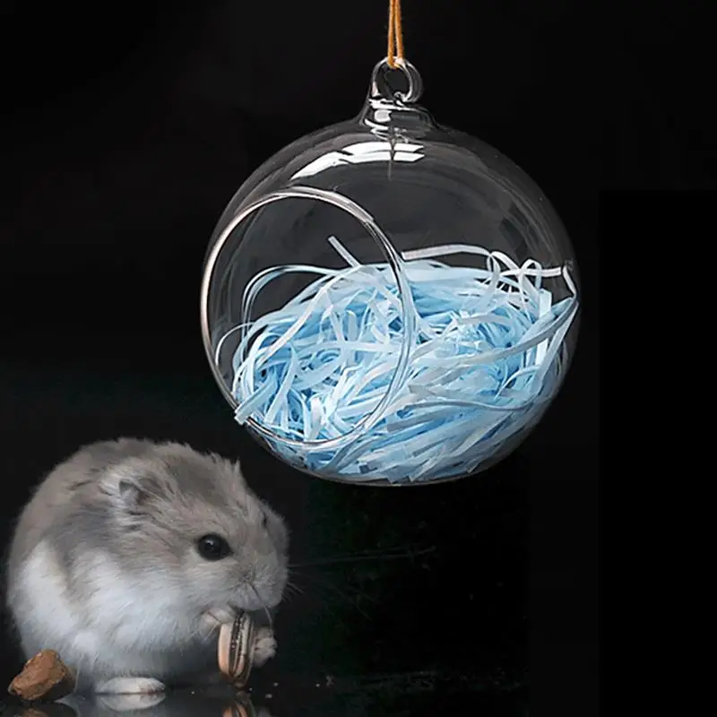 Legendog 1pc Hamster House Nest Creative Summer Hamster Bed Hanging Glass Globe For Small Animal Pet Supplies
Legendog 1pc Hamster House Nest Creative Summer Hamster Bed Hanging Glass Globe For Small Animal Pet Supplies