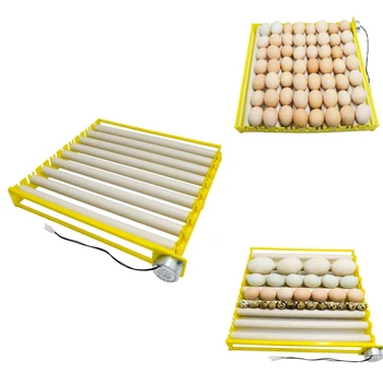 Practical Roller Egg Tray Incubator Accessories Durable Rotary Automatic Roller Pattern Turner Tray
Practical Roller Egg Tray Incubator Accessories Durable Rotary Automatic Roller Pattern Turner Tray