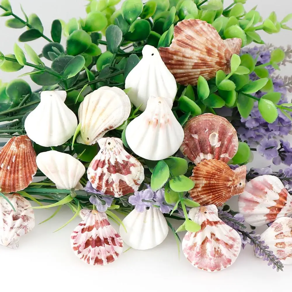 10pcs Jewelry Decoration Beach Fashion Seashells Sea Shells for DIY Caft Decor Jewelery Craft Accessories holes Shell Charm
10pcs Jewelry Decoration Beach Fashion Seashells Sea Shells for DIY Caft Decor Jewelery Craft Accessories holes Shell Charm
