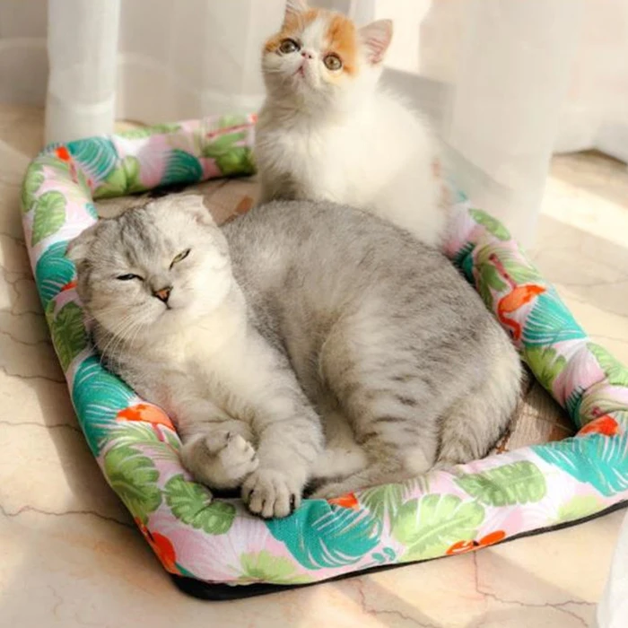 Pet Cat Dog Summer Ice Silk Breathable Cool Mats Cool Cold Silk Moisture-Proof Puppy Sleeping Cushion Cooler Mattress Pet Beds
Pet Cat Dog Summer Ice Silk Breathable Cool Mats Cool Cold Silk Moisture-Proof Puppy Sleeping Cushion Cooler Mattress Pet Beds