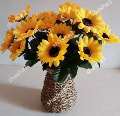 Sunflower bonsai Four seasons broadcast viewing balcony pots of dwarf sunflower bonsai easy to plant flower bonsai 20pcs
Sunflower bonsai Four seasons broadcast viewing balcony pots of dwarf sunflower bonsai easy to plant flower bonsai 20pcs