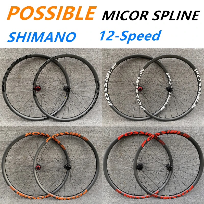 

Possible 29er BOOST 148 carbon MTB 30MM 330g rim with dt swiss Micro Spline 12 speed Hub for XC MTB bike without camera ready