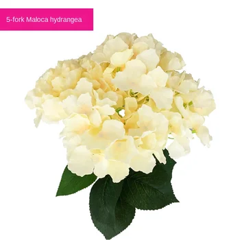 Home Decoration 5 Fork Mallorca Hydrangea Simulation Flower Studio Wedding 10 Pack
Home Decoration 5 Fork Mallorca Hydrangea Simulation Flower Studio Wedding 10 Pack
