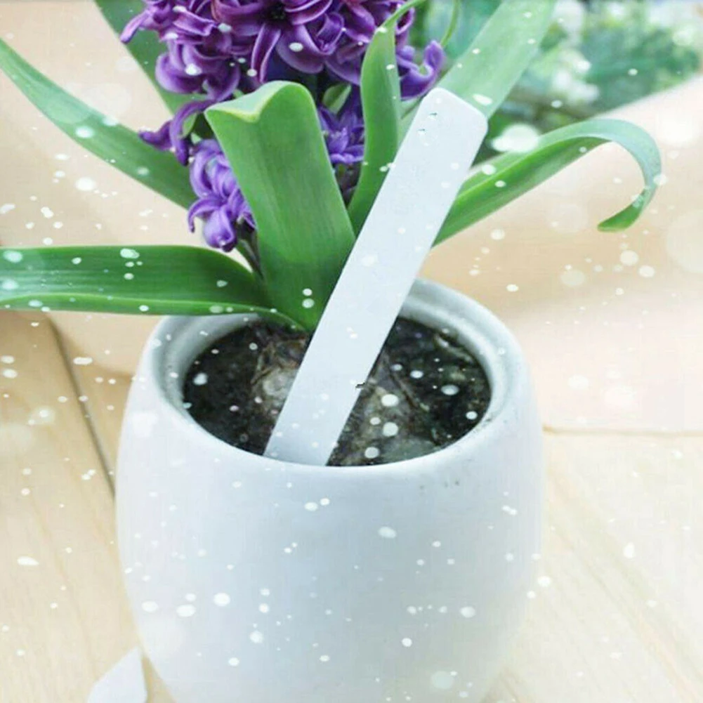 Name Plant Label Herbs Labeling Labels Marker Nursery Plant Plastic Small Supplies Tags 5*1cm Waterproof Garden
Name Plant Label Herbs Labeling Labels Marker Nursery Plant Plastic Small Supplies Tags 5*1cm Waterproof Garden