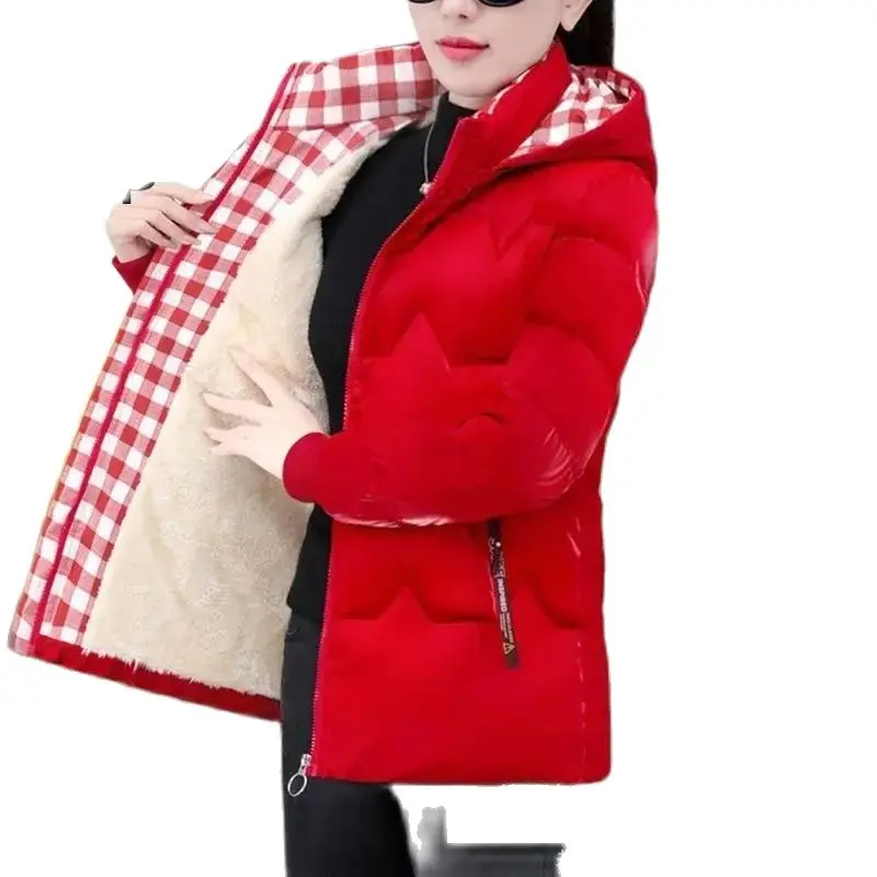 

Glossy 2023 Winter New Down Cotton-Padded Jacket Women's Short Explosions Fashion Wash-Free Long Sleeve Warm Parka Coat