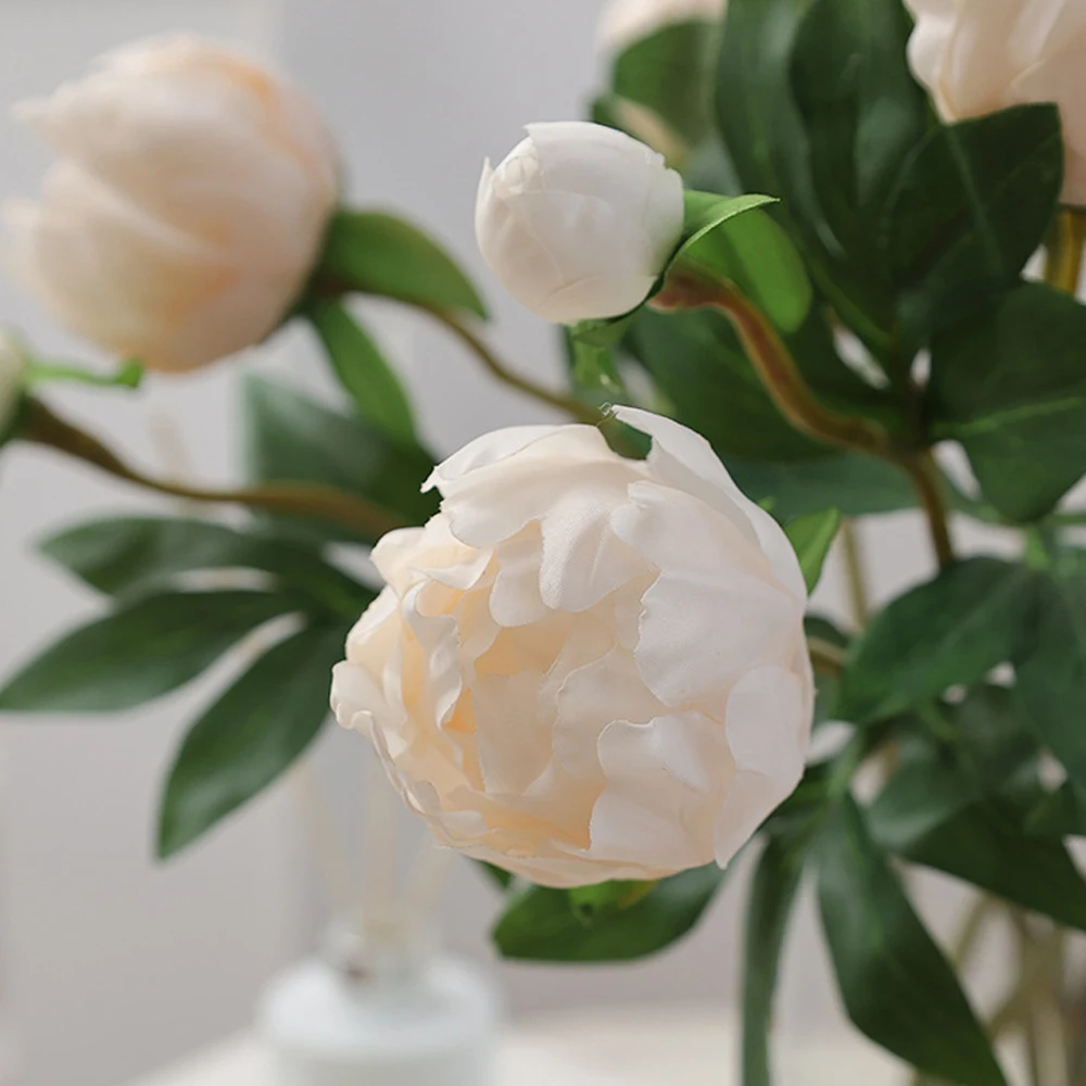 1Pc Artificial Peony Flowers Bouquet Beautiful Silk Wedding Home Table Decor Arrange Fake Plants Valentine'S Day Present
1Pc Artificial Peony Flowers Bouquet Beautiful Silk Wedding Home Table Decor Arrange Fake Plants Valentine'S Day Present
