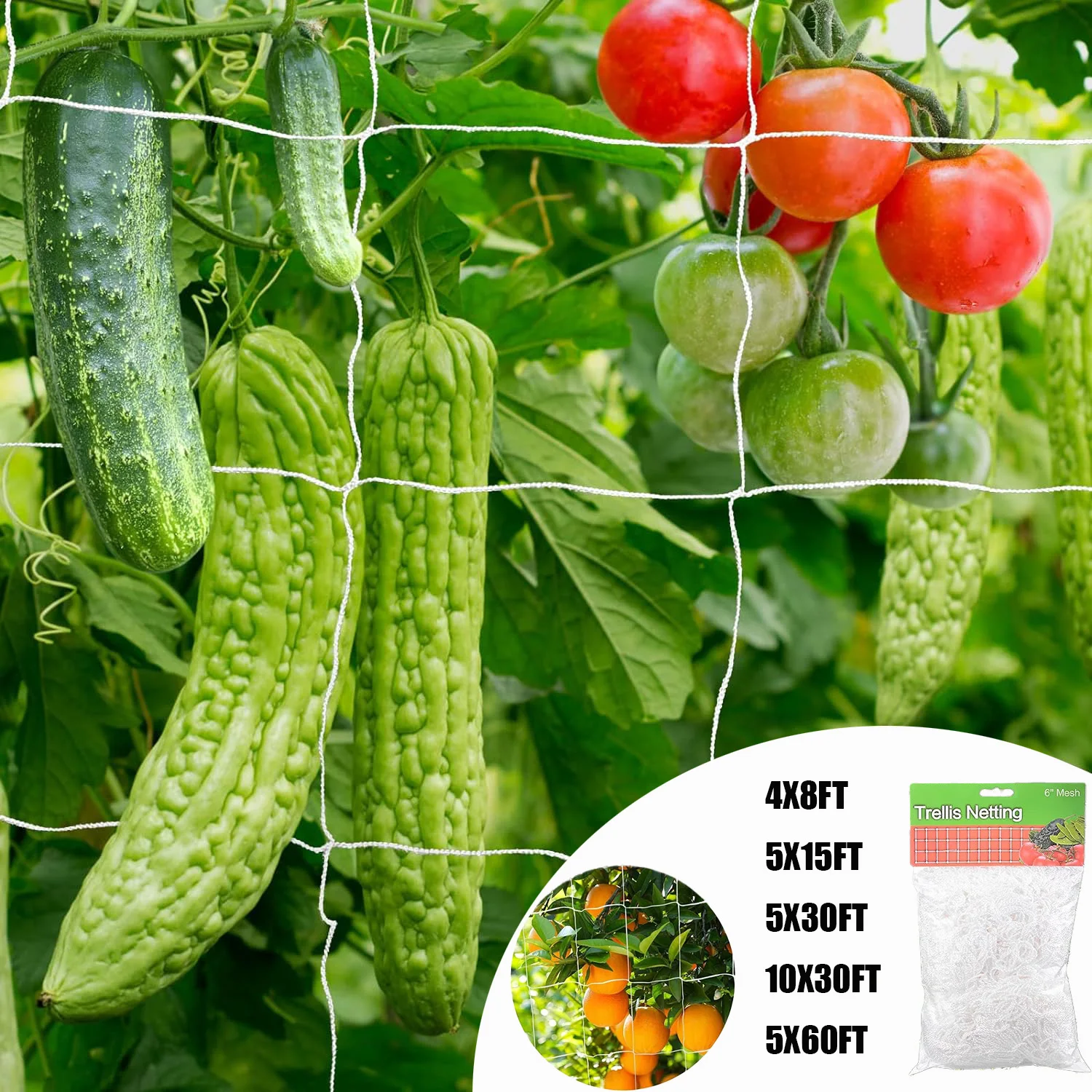 Garden Trellis Netting Outdoor Heavy Duty Nylon Climbing Netting net for Cucumber Tomato Fruits Vegetables Grow Holder Brackets
Garden Trellis Netting Outdoor Heavy Duty Nylon Climbing Netting net for Cucumber Tomato Fruits Vegetables Grow Holder Brackets