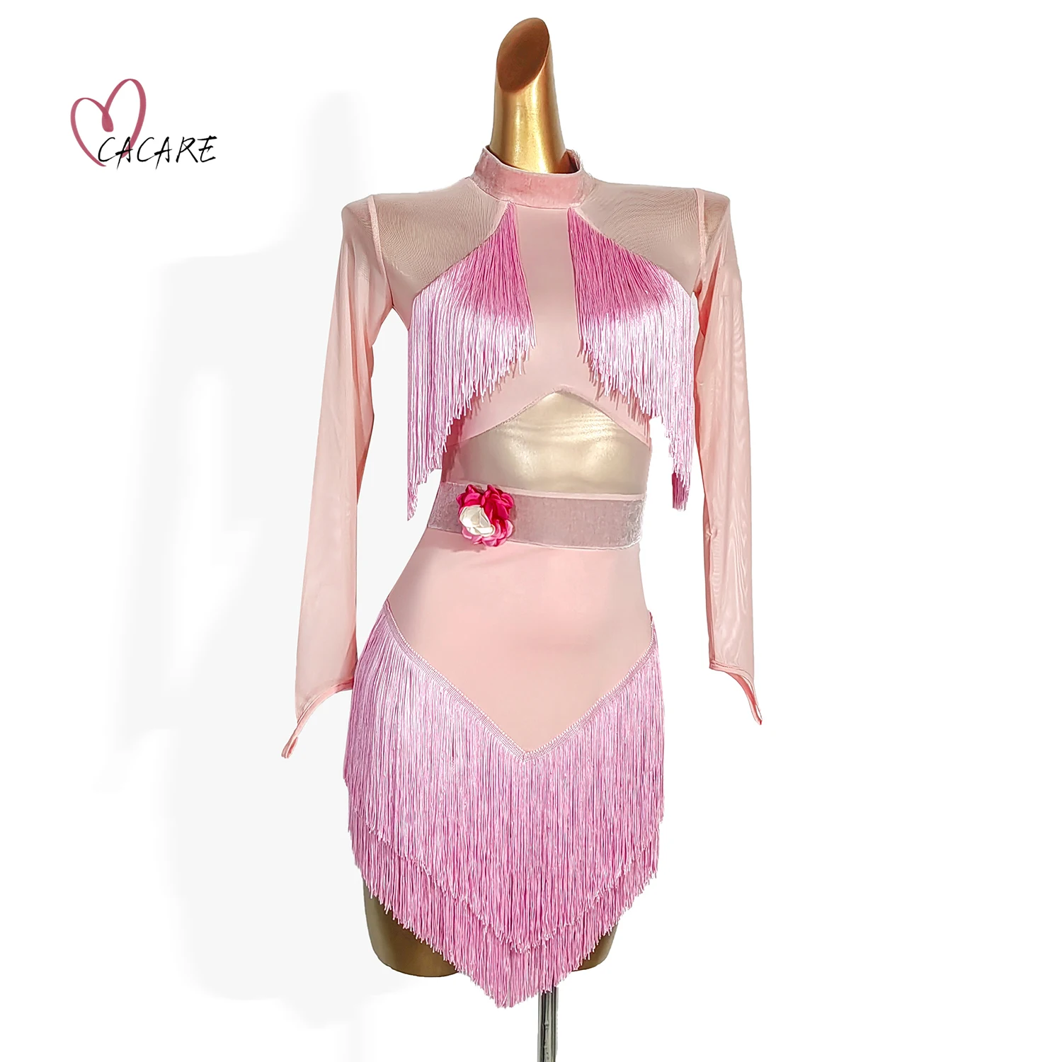 2024 Latin Dance One Piece Dress Sexy Stage Costume Female Dance Suit Dresses for Women Dance Wear Samba Latino Fringed 0195
2024 Latin Dance One Piece Dress Sexy Stage Costume Female Dance Suit Dresses for Women Dance Wear Samba Latino Fringed 0195